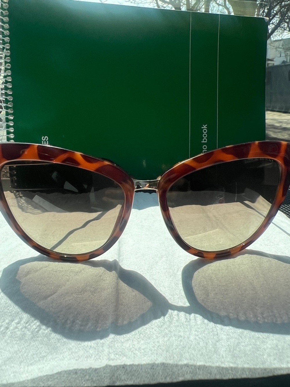 kate spade Tortoiseshell Cat-Eye Sunglasses with Brown Lenses